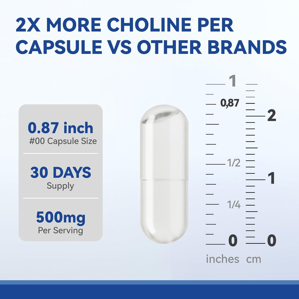 Inner Brightness Choline 500 mg