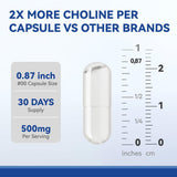 Inner Brightness Choline 500 mg