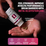 German Pharma Beta Ecdysterone