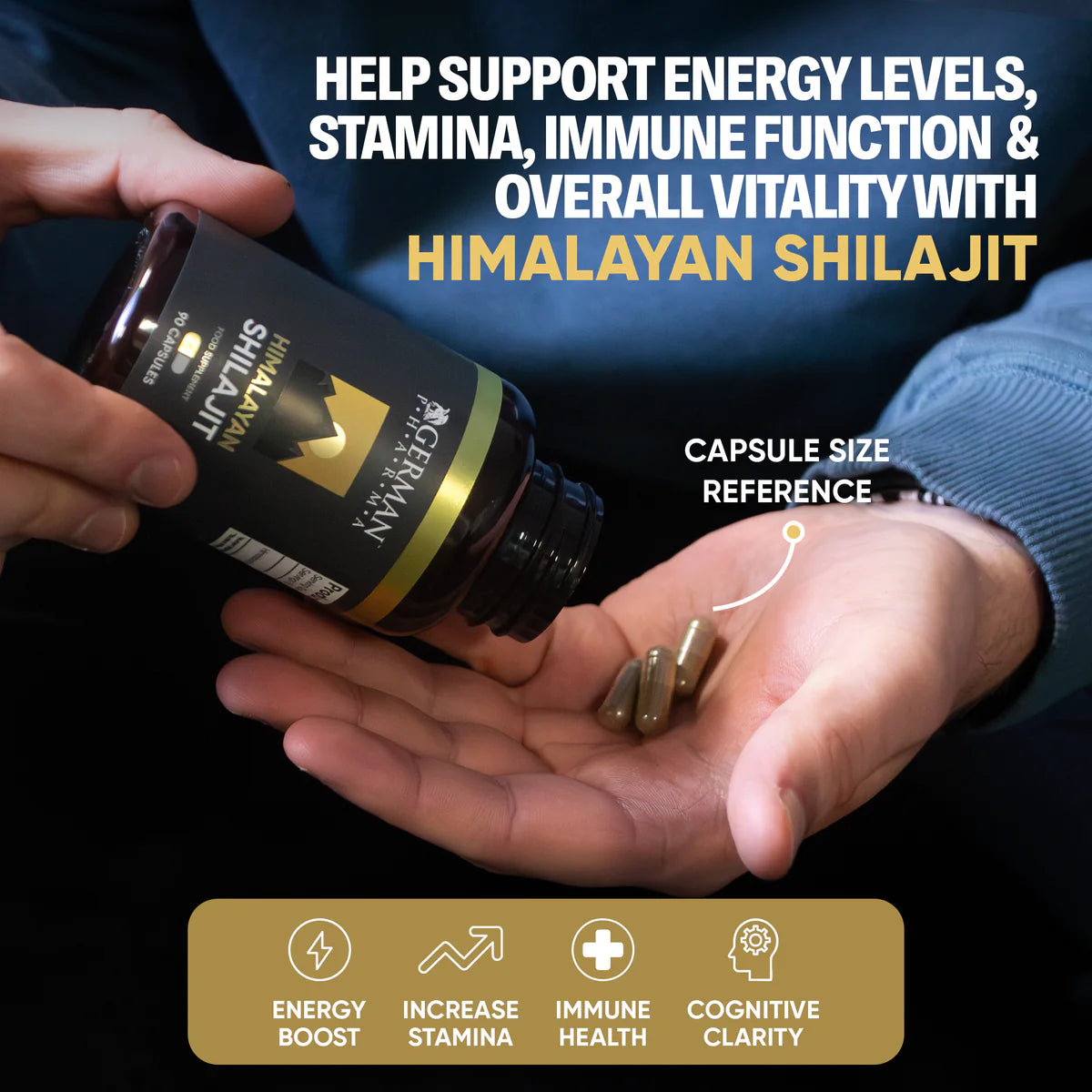 Himalayan Shilajit