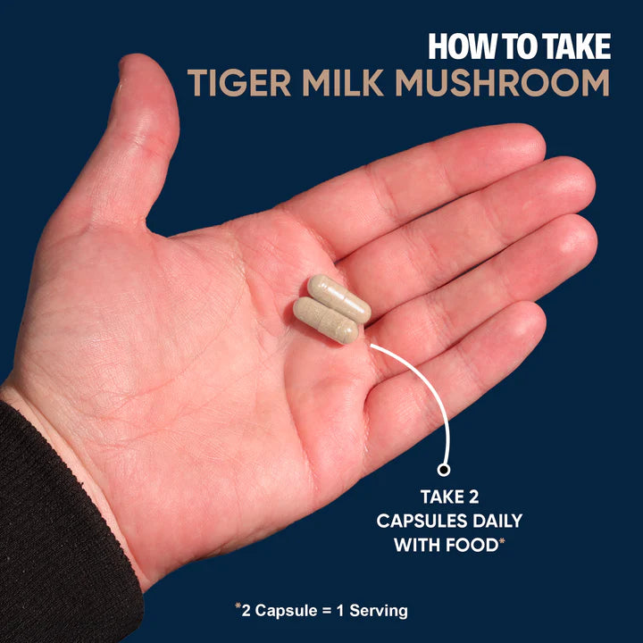 German Pharma Tigers Milk Mushroom