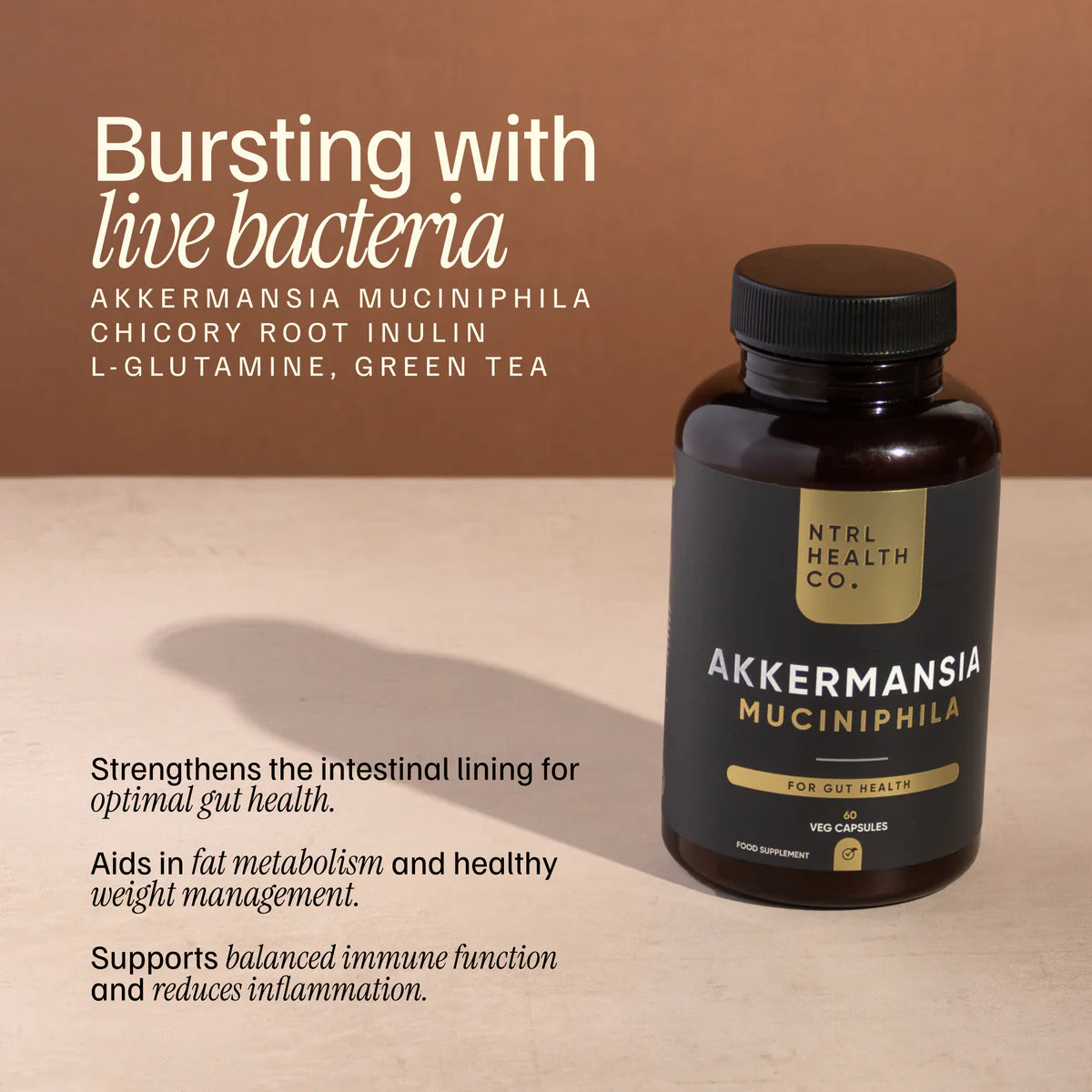 Akkermansia