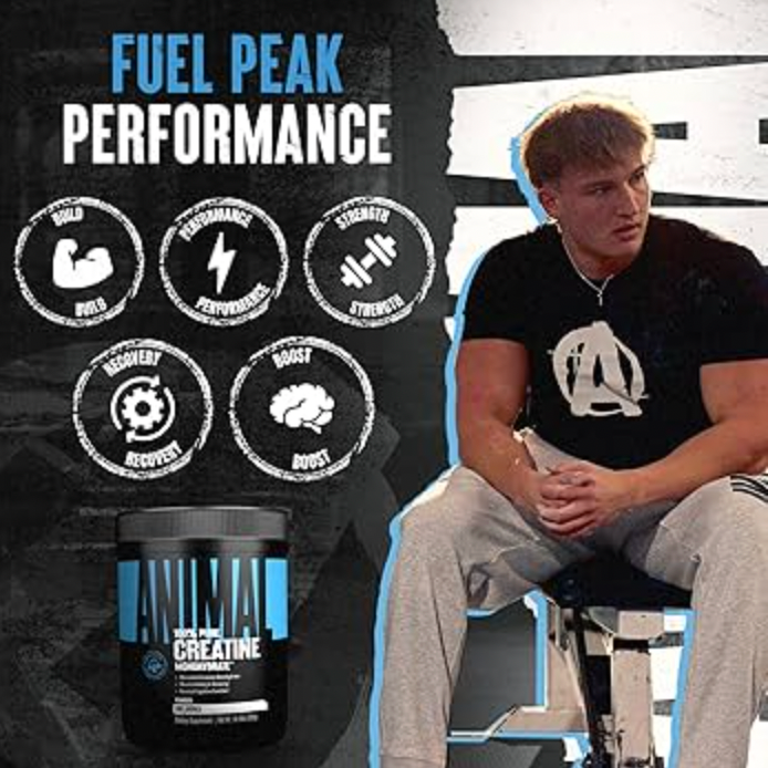 Animal 100% Creatine