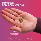 German Pharma Beta Ecdysterone