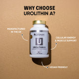 German Pharma Urolithin A